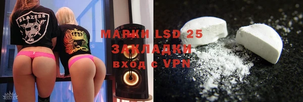 PSILOCYBIN Вяземский