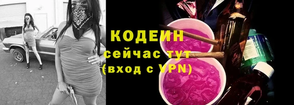 PSILOCYBIN Вяземский