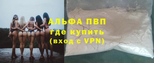 PSILOCYBIN Вяземский