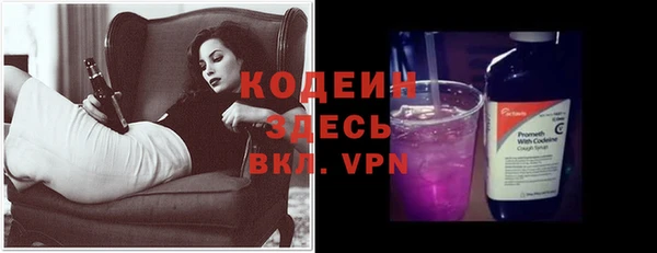 PSILOCYBIN Вяземский