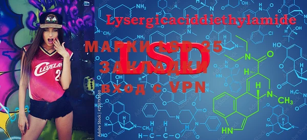 PSILOCYBIN Вяземский