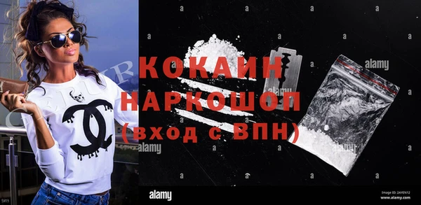 PSILOCYBIN Вяземский