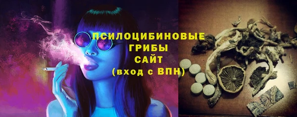 PSILOCYBIN Вяземский