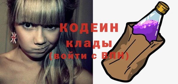 PSILOCYBIN Вяземский