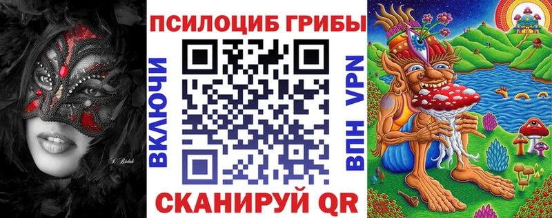 Галлюциногенные грибы Psilocybine cubensis  omg ССЫЛКА  Королёв 